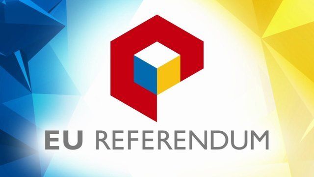 EU Referendum Survey
